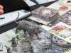 Spiel2019_Neuheitenschau_20